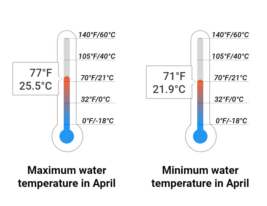 Average Sea temperature